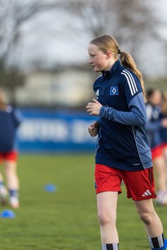 Bild 45 - wBJ Hamburger SV - Eimsbuettler TV : Ergebnis: 4:0